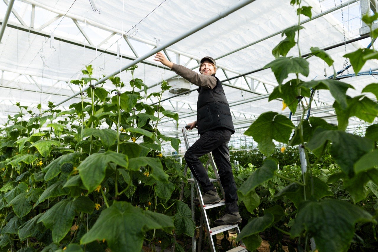 Arbeitshosen von HAKRO: strapazierfähige Worker- & Funktionshosen für Handwerk, Gastro & Garten